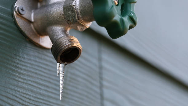 Best Leak Detection Services  in Mascot, TN